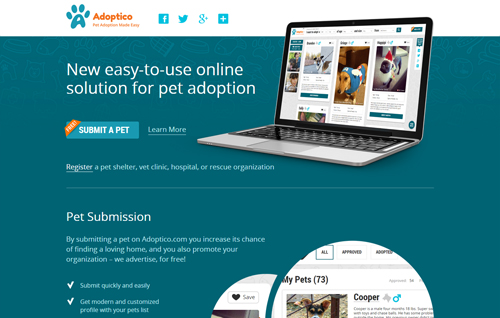 Adoptico – Intro